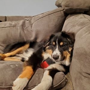 Meet your Posher, Debra